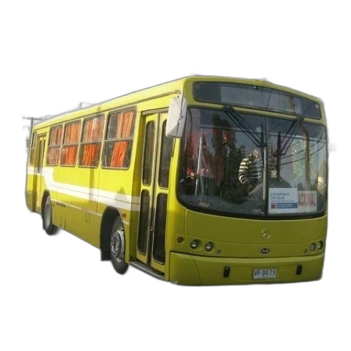 staff, car, animal, 3d render transparent PNG cut-out