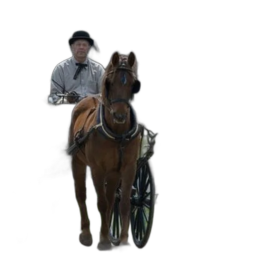 staff, animal, robot, car transparent PNG cut-out