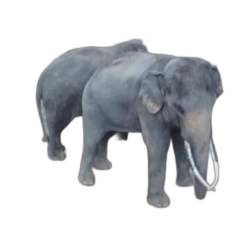 animal, creature, staff, 3d render transparent PNG cut-out