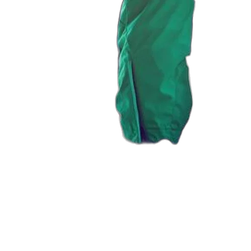 dress, jacket, staff, umbrella transparent PNG cut-out