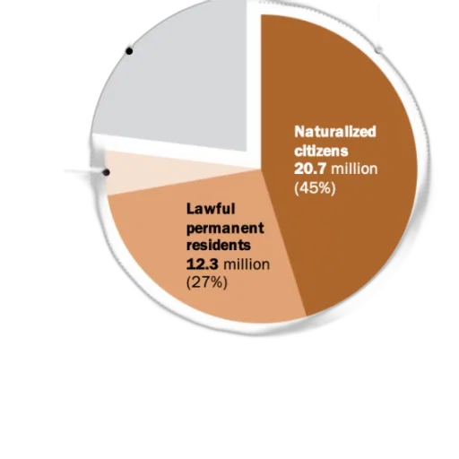 pie, chart, showing, distribution transparent PNG cut-out