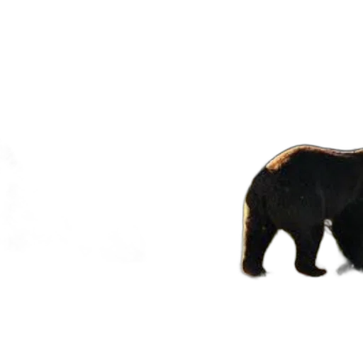 animal, creature, staff, food transparent PNG cut-out