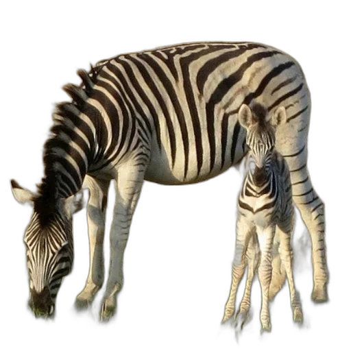 animal, creature, staff, weapon transparent PNG cut-out