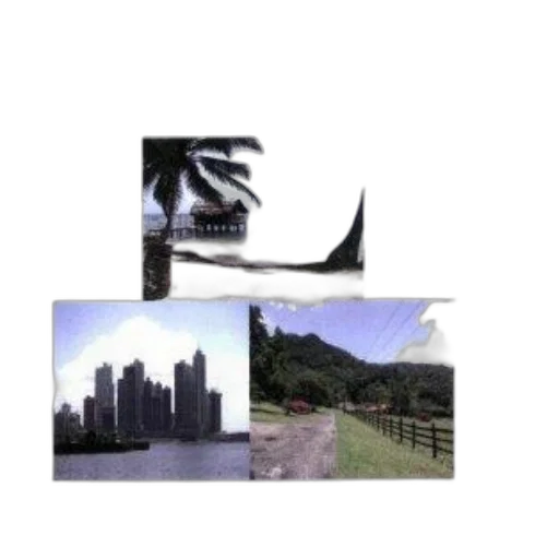dragon, animal, building, shoes transparent PNG cut-out
