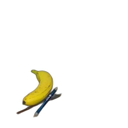 weapon, food, animal, staff transparent PNG cut-out