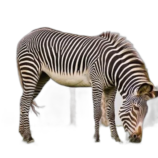animal, creature, weapon, staff transparent PNG cut-out