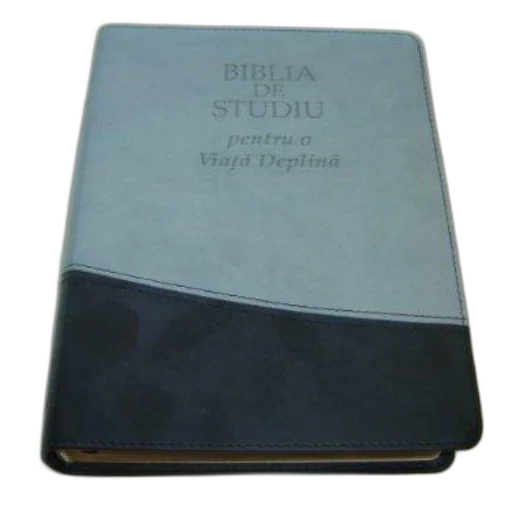 staff, weapon, sword, bible transparent PNG cut-out