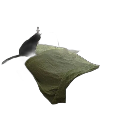 hat, animal, food, umbrella transparent PNG cut-out