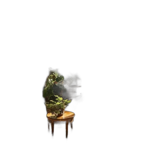 furniture, crown, creature, tree transparent PNG cut-out