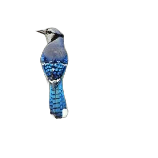 jewelry, staff, animal, weapon transparent PNG cut-out