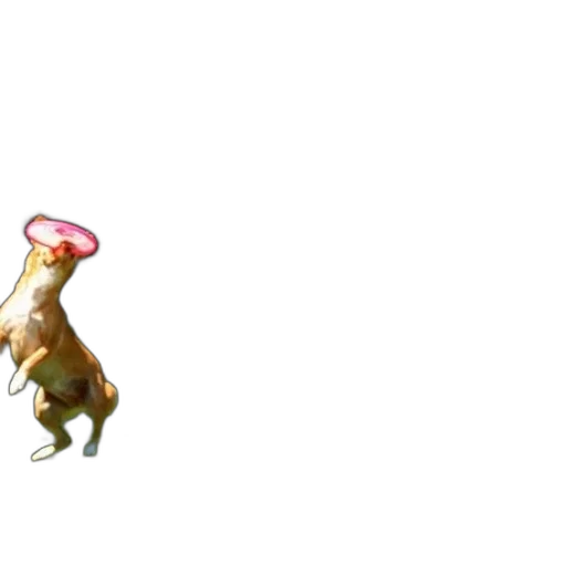 animal, hat, creature, dragon transparent PNG cut-out