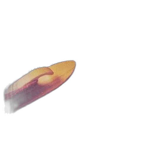 shoes, food, weapon, sword transparent PNG cut-out