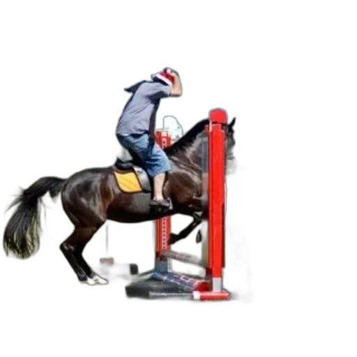 furniture, photorealistic, horse, rider transparent PNG cut-out