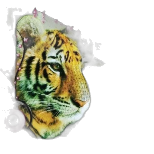 jewelry, animal, mask, hat transparent PNG cut-out