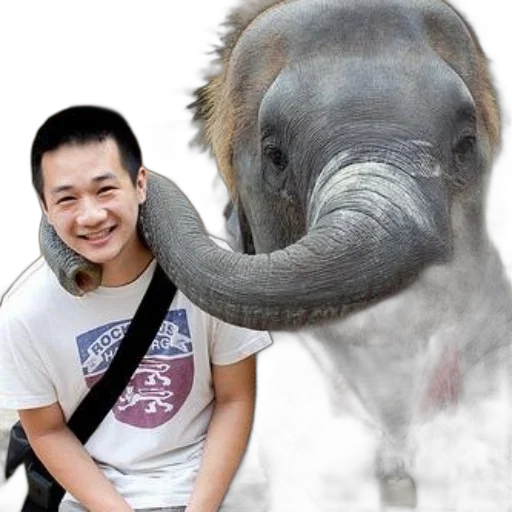 animal, creature, face, staff transparent PNG cut-out
