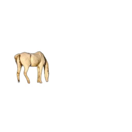 animal, creature, furniture, hair transparent PNG cut-out