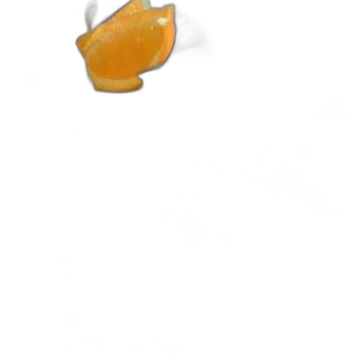 food, hat, jewelry, staff transparent PNG cut-out