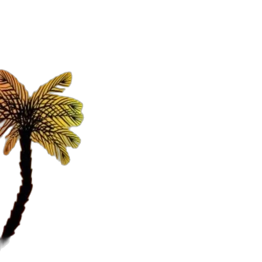 hair, crown, flower, jewelry transparent PNG cut-out