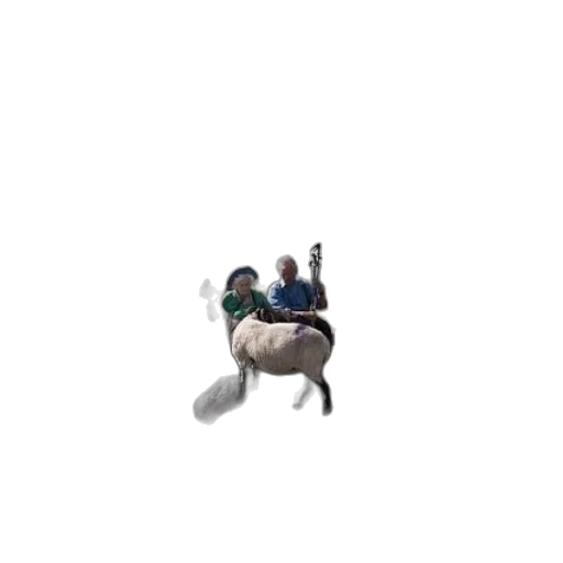 animal, creature, dragon, car transparent PNG cut-out