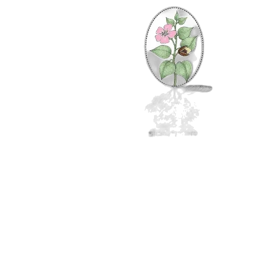 flower, jewelry, crown, furniture transparent PNG cut-out