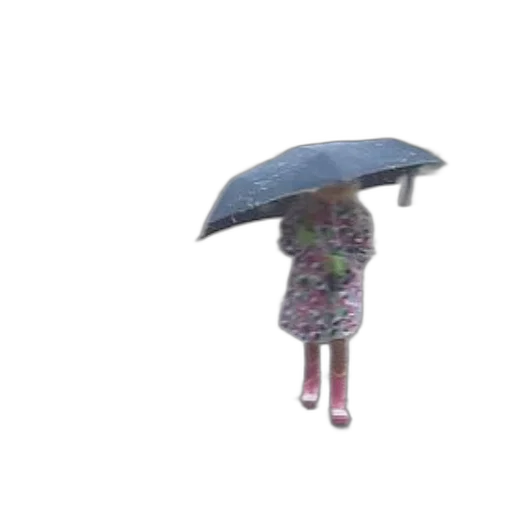 umbrella, dress, hat, jacket transparent PNG cut-out