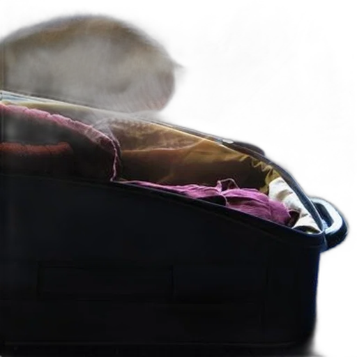 mask, jacket, hat, shoes transparent PNG cut-out