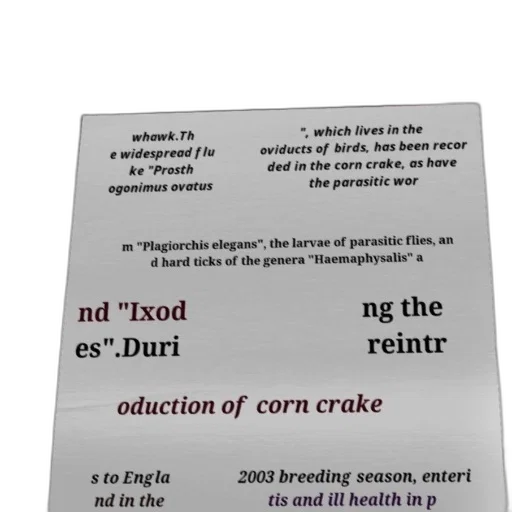 food, text-based, image, discussing transparent PNG cut-out
