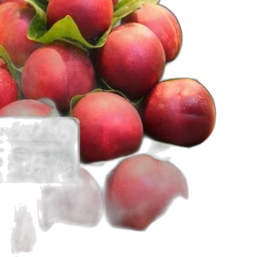 food, crown, weapon, photorealistic transparent PNG cut-out