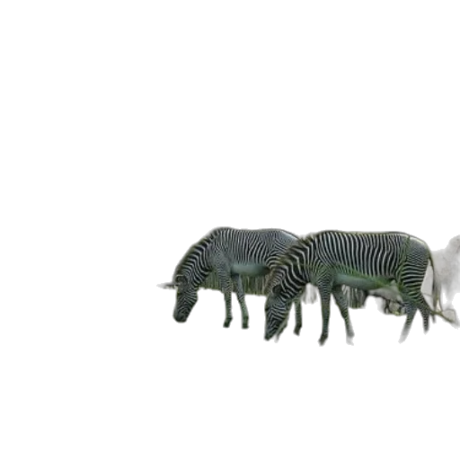 animal, creature, furniture, dragon transparent PNG cut-out