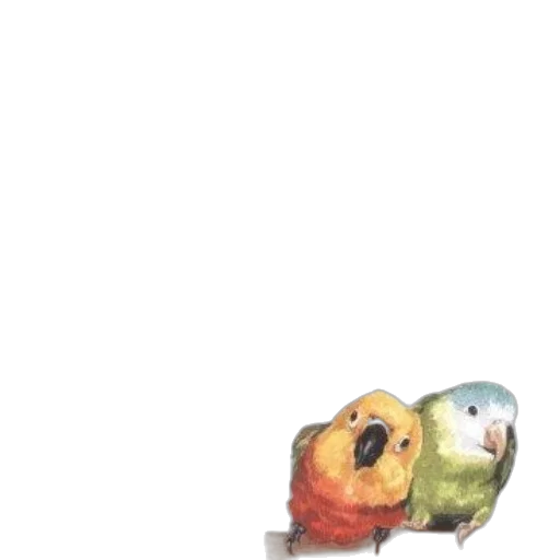 food, animal, robot, jewelry transparent PNG cut-out