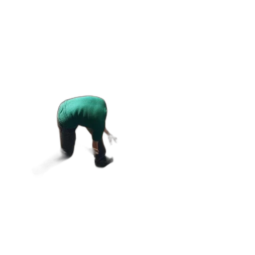jacket, creature, animal, hat transparent PNG cut-out