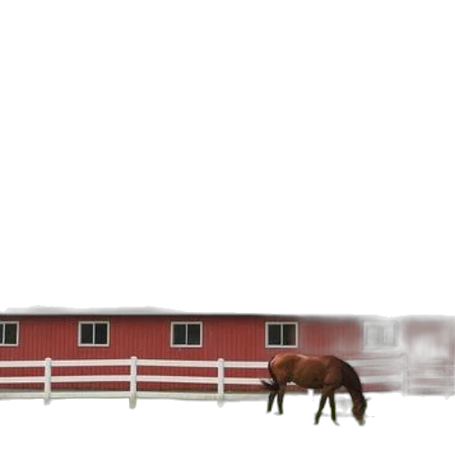animal, building, furniture, car transparent PNG cut-out