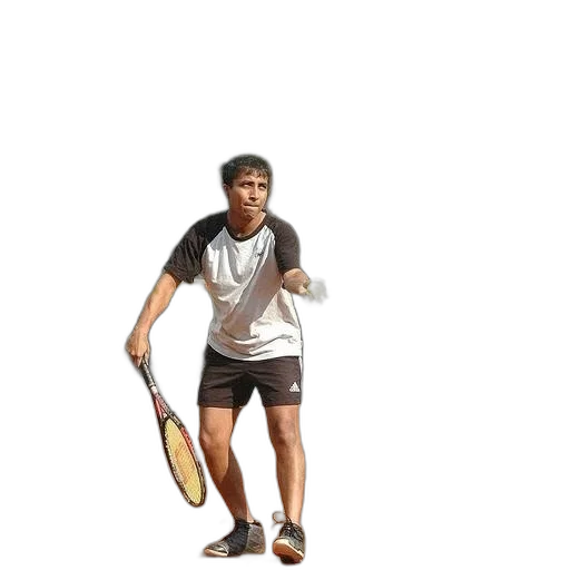 staff, weapon, creature, animal transparent PNG cut-out