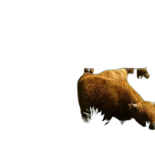 animal, creature, weapon, concept art transparent PNG cut-out