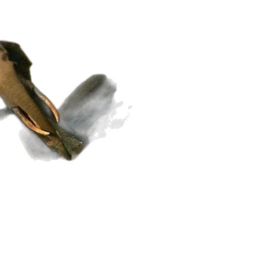 dragon, shoes, animal, weapon transparent PNG cut-out