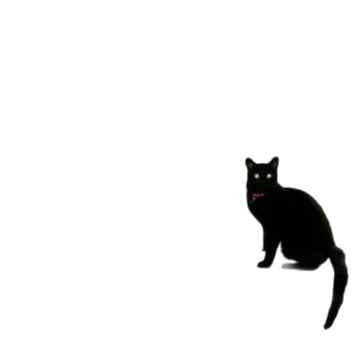 animal, staff, creature, robot transparent PNG cut-out