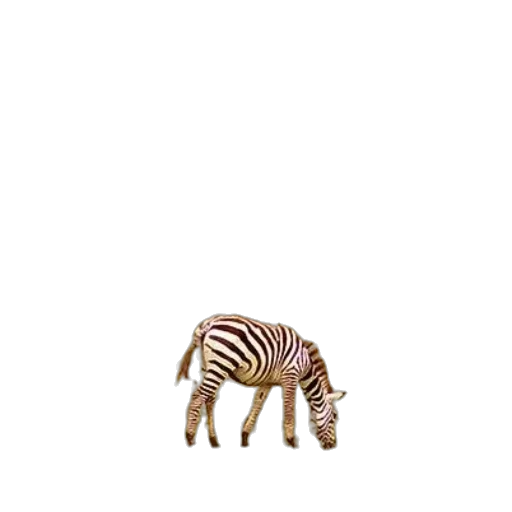 animal, creature, furniture, robot transparent PNG cut-out