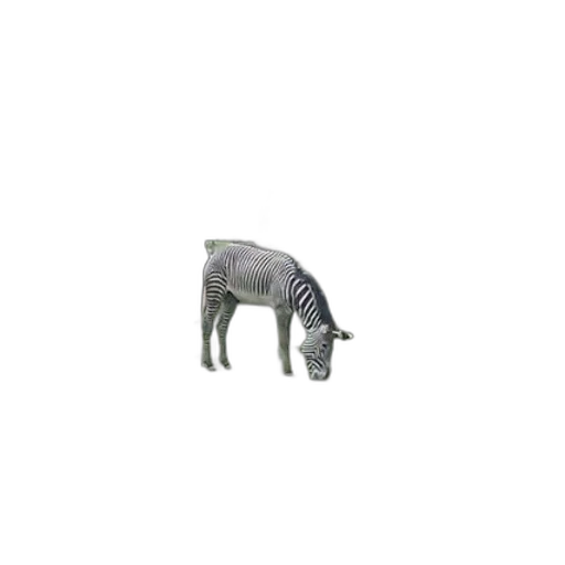 animal, creature, dragon, robot transparent PNG cut-out