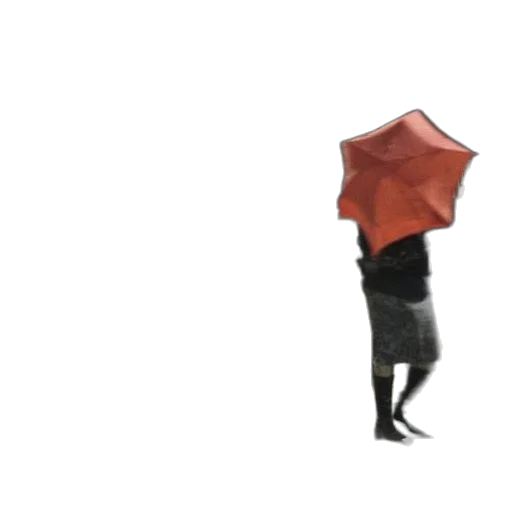 umbrella, hat, jacket, dress transparent PNG cut-out