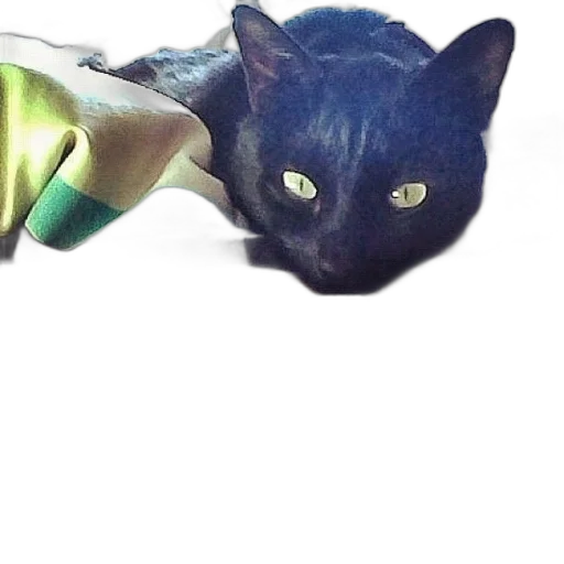 animal, creature, dragon, staff transparent PNG cut-out