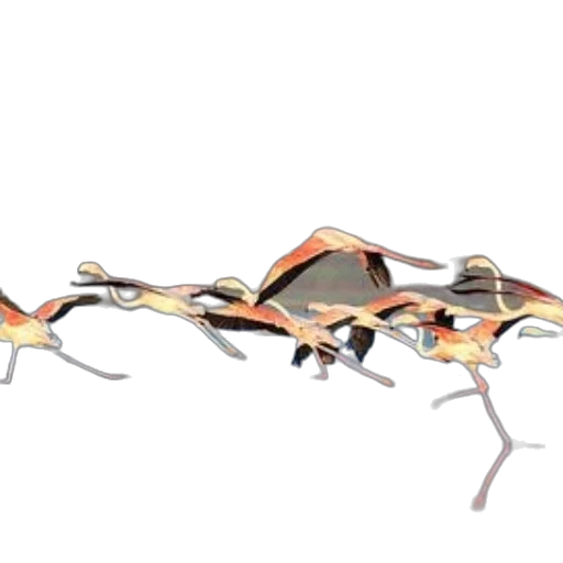 dragon, animal, weapon, jewelry transparent PNG cut-out