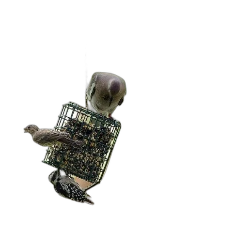 robot, animal, creature, furniture transparent PNG cut-out