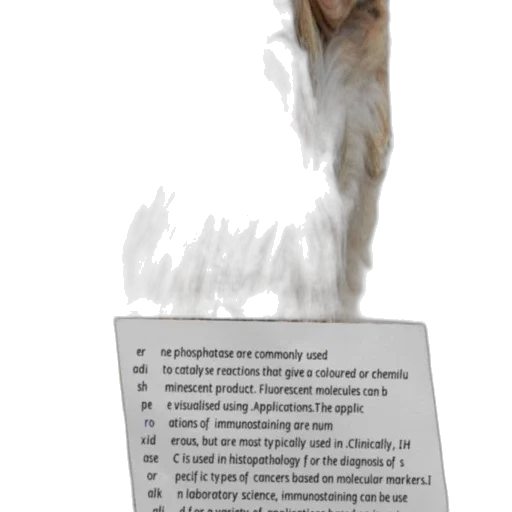 animal, staff, creature, mask transparent PNG cut-out