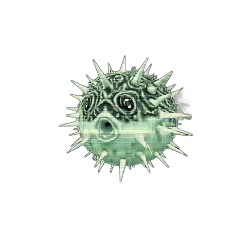 flower, umbrella, weapon, animal transparent PNG cut-out