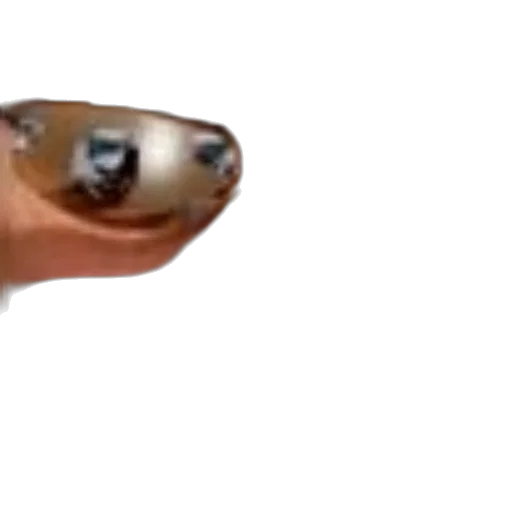 animal, creature, face, food transparent PNG cut-out