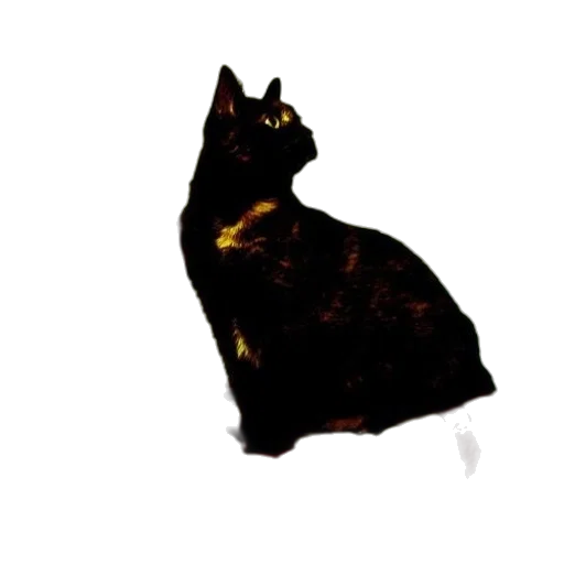 animal, staff, creature, dress transparent PNG cut-out
