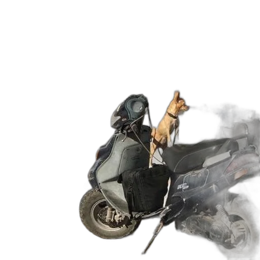 animal, car, dragon, concept art transparent PNG cut-out