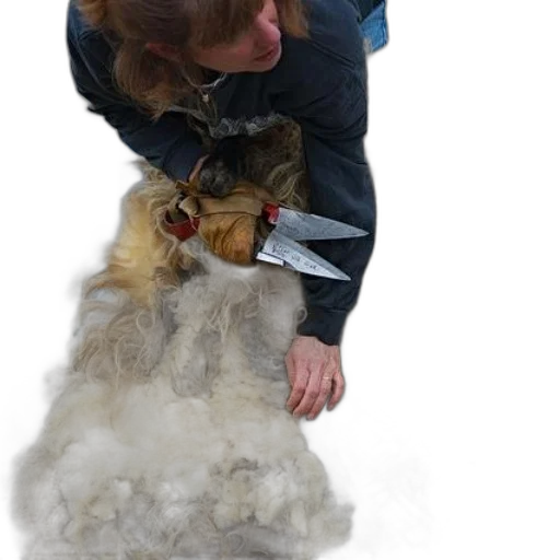 hair, staff, animal, creature transparent PNG cut-out