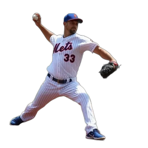 animal, photorealistic, mets, pitcher transparent PNG cut-out