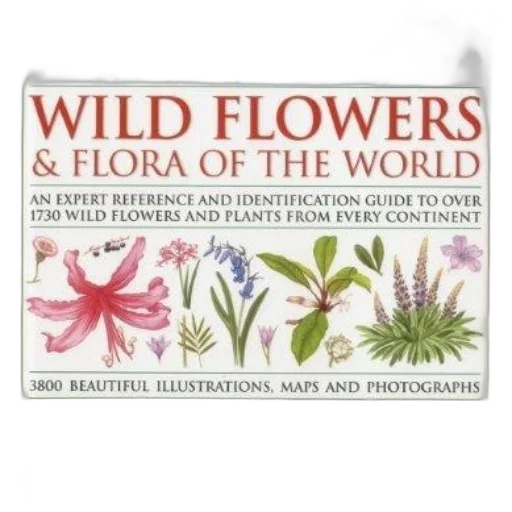 flower, book, cover, featuring transparent PNG cut-out